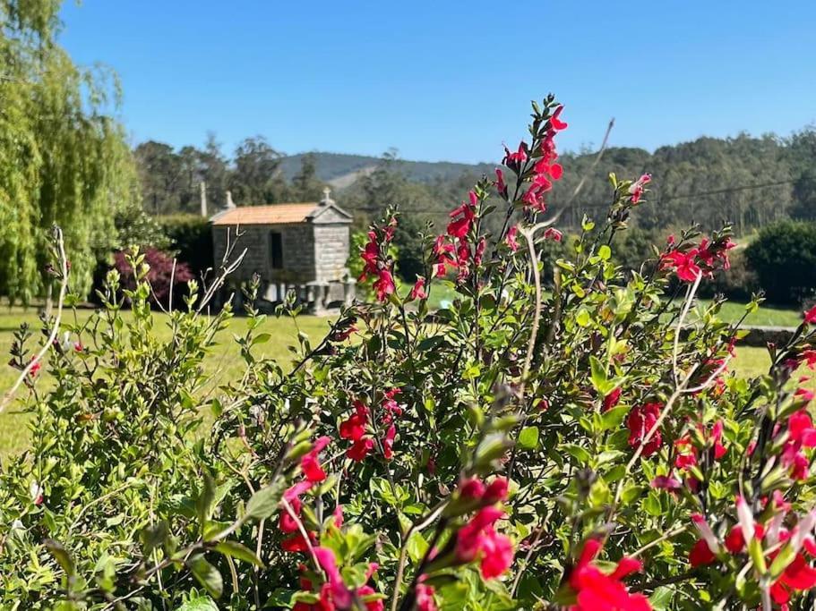 Lugar Do Curro, San Martino De Ozon Villa Muxia Dış mekan fotoğraf